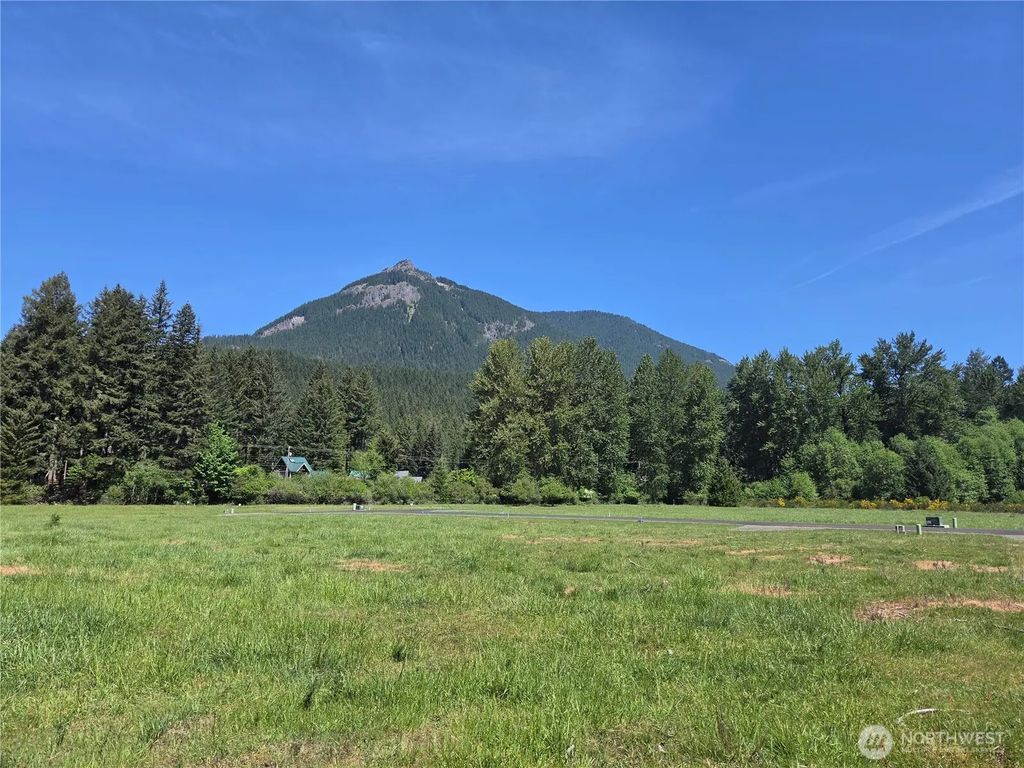 123 Campfire Lane, Packwood