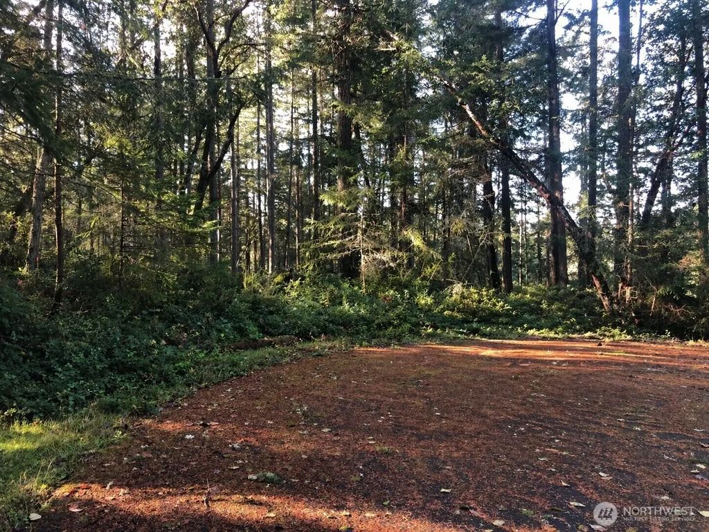 9501 116th Avenue Ct, Anderson Island