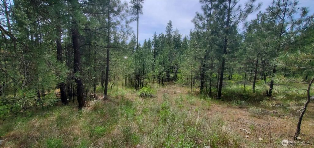6 Lot Okanogan River Ranches Div 1, Tonasket