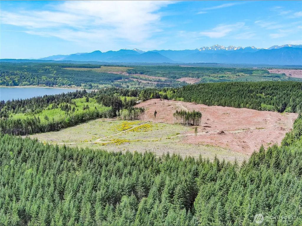 1 Xxx Teal Lake Road, Port Ludlow