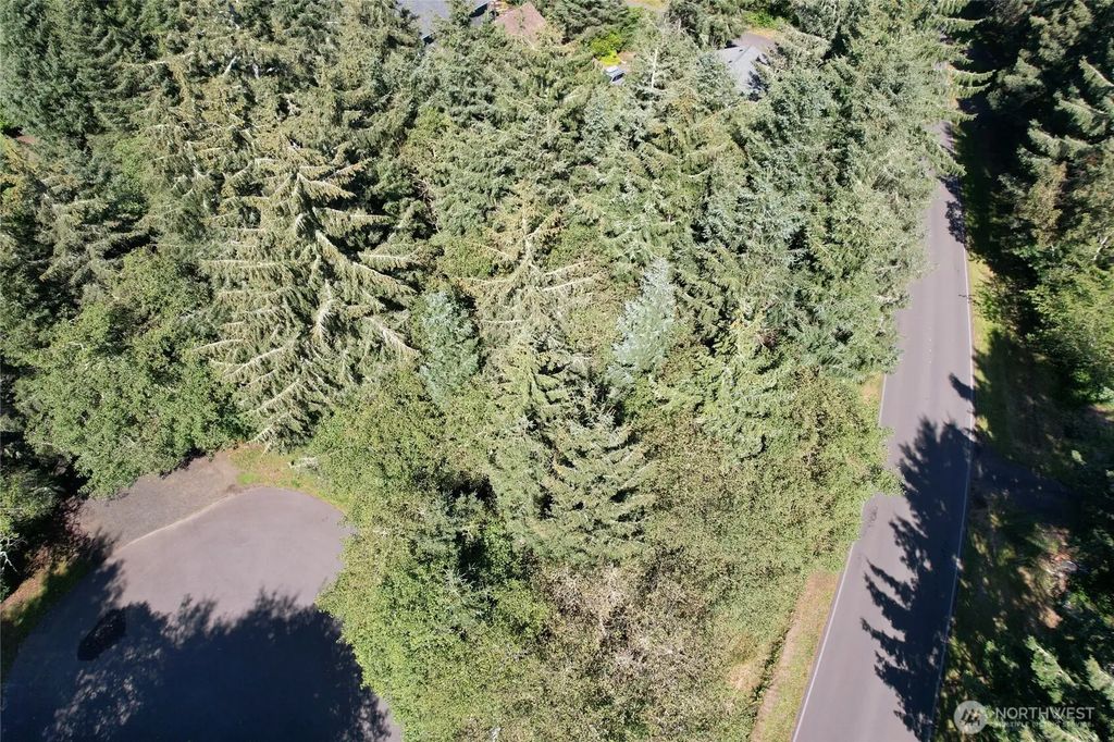 765 Duck Lake Drive Se, Ocean Shores