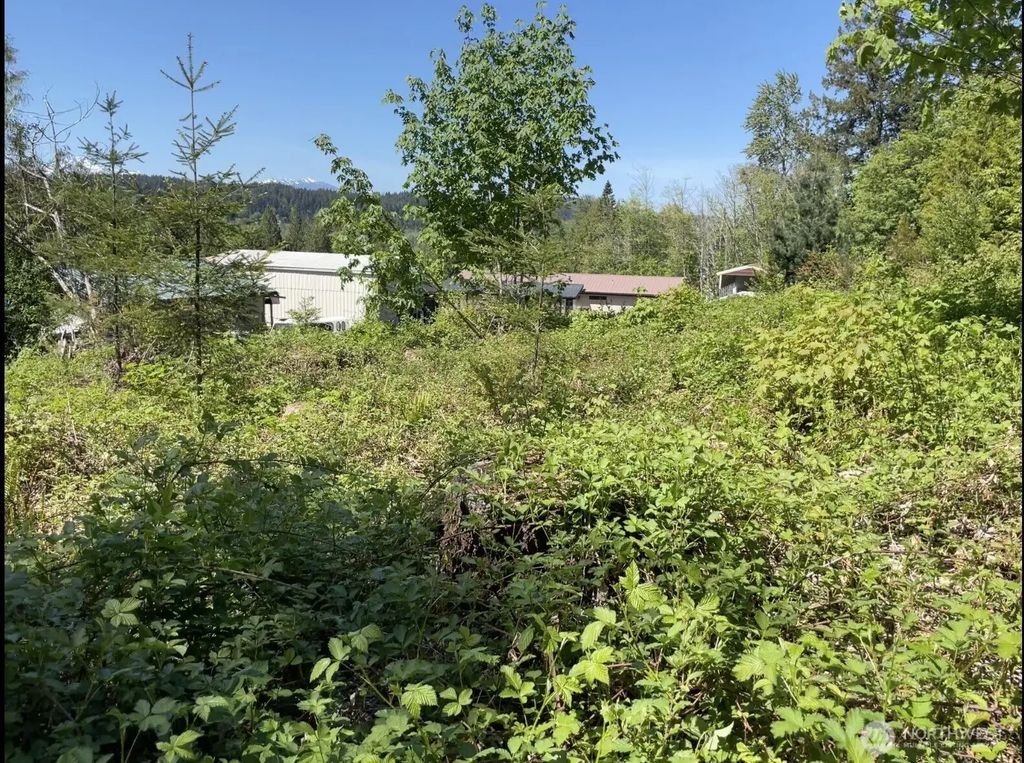 0 Lot State Route 3, Belfair