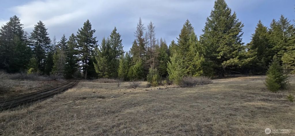 99 Prior Loop Road, Oroville