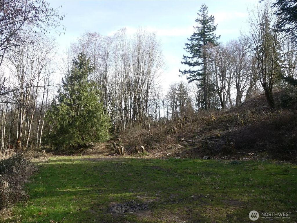 Horizon Drive Lot 3, Kalama