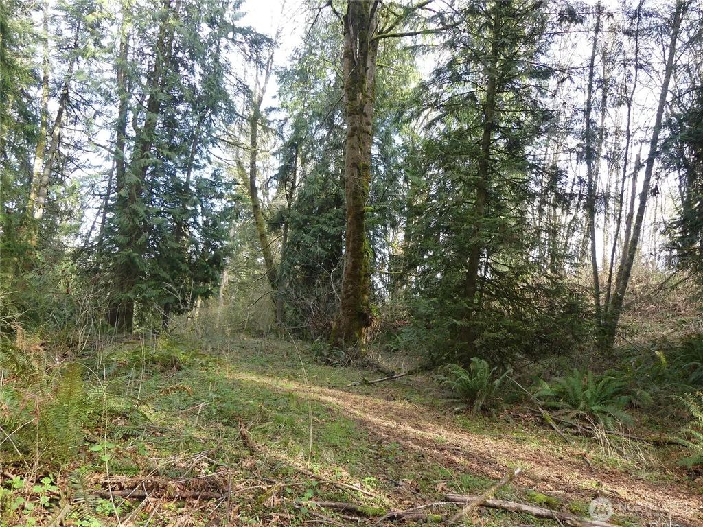 Horizon Drive Lot 2, Kalama