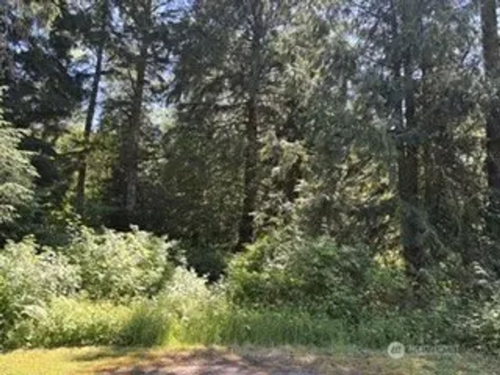 441st Avenue Se, North Bend