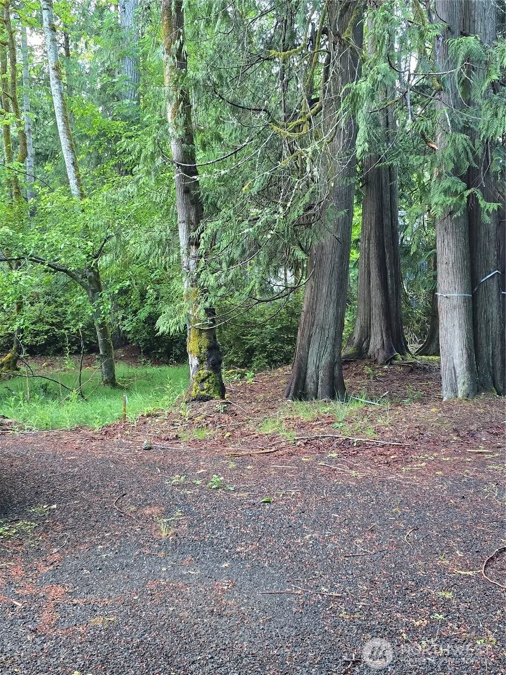 441 E Pointes Drive E, Shelton