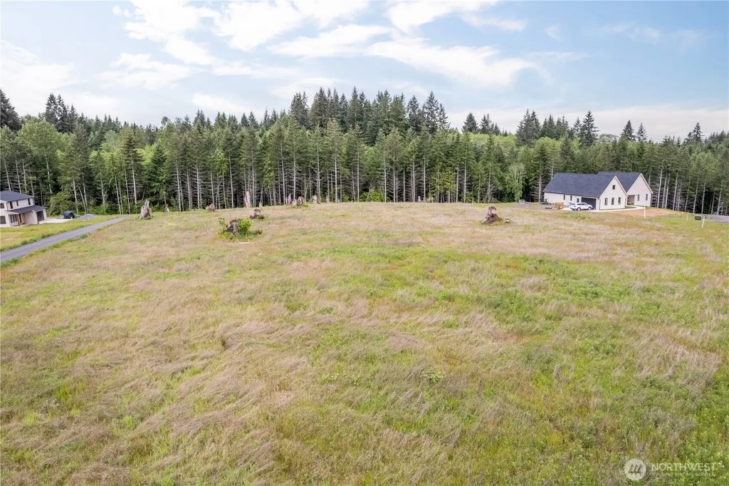 214 Ash Mountain Drive, Castle Rock