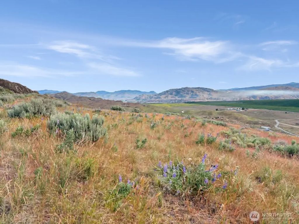 Andalusian Lot 4, Brewster