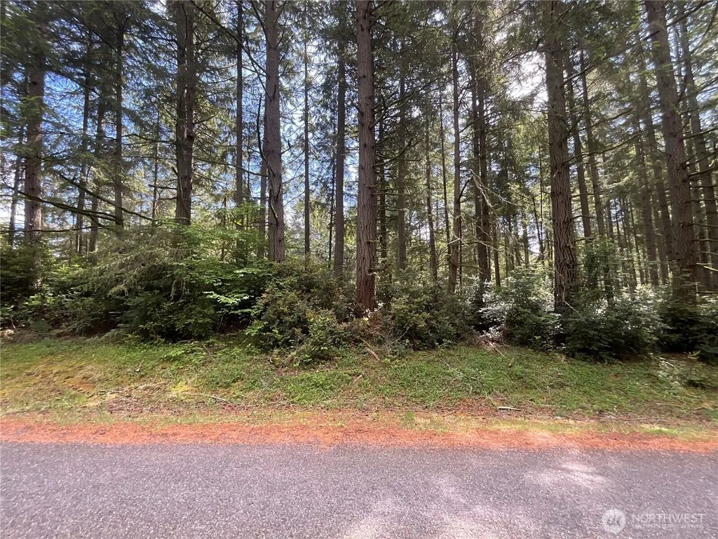 11321 Lake Josephine Avenue, Anderson Island
