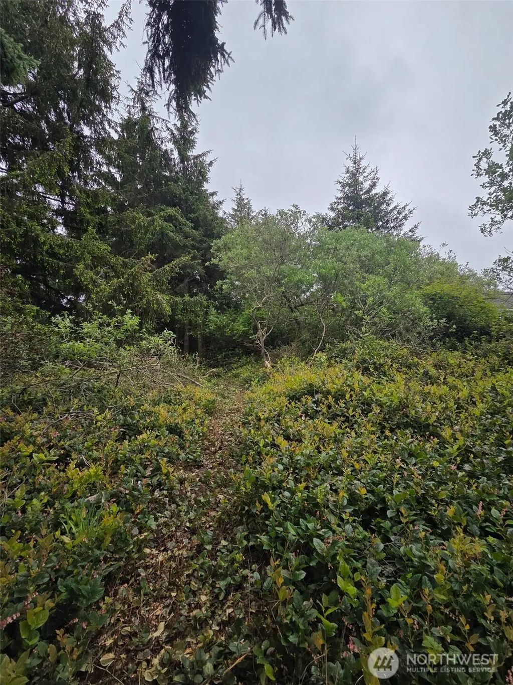 624 Wolf Ct Se, Ocean Shores