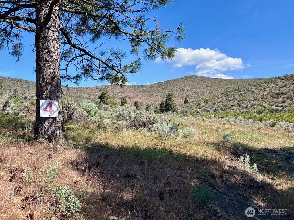 4 Xx Secret Canyon Road, Ellensburg