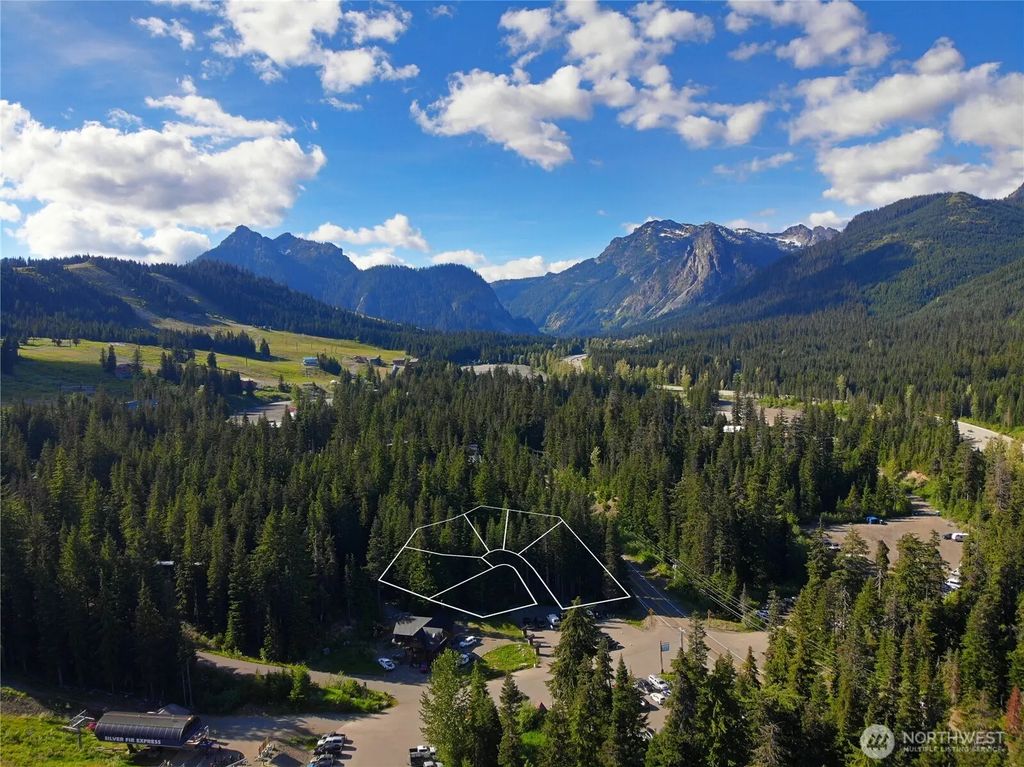67891011 Xx Pine Lane, Snoqualmie Pass