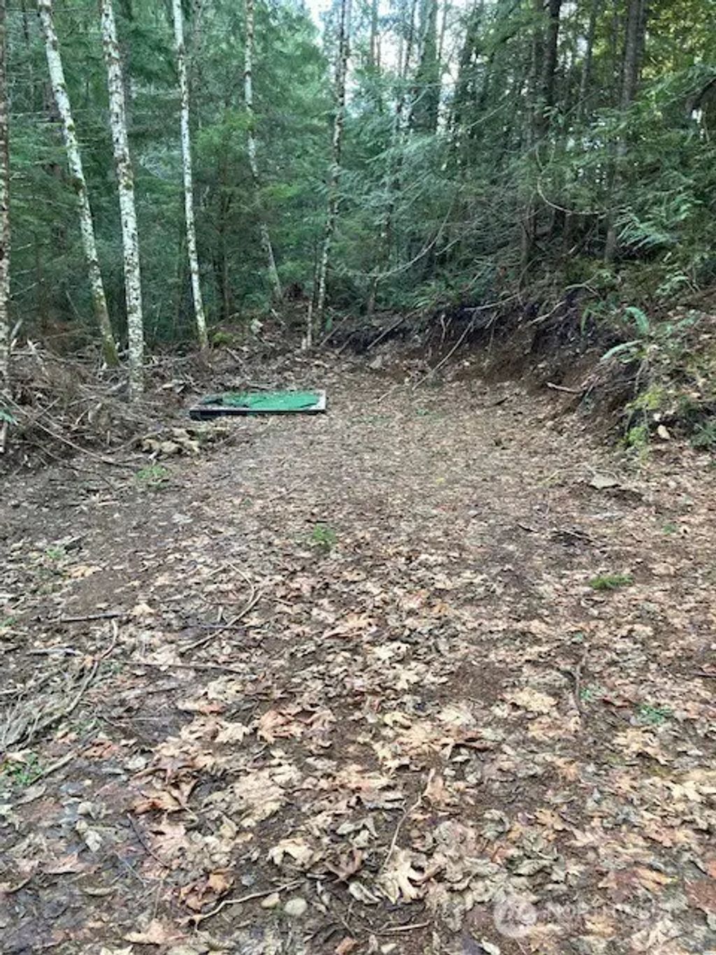 N Dow Ridge, Hoodsport