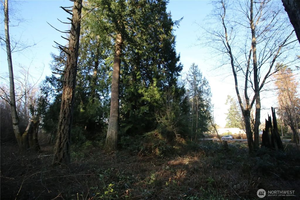 91st Ave Sw, Vashon