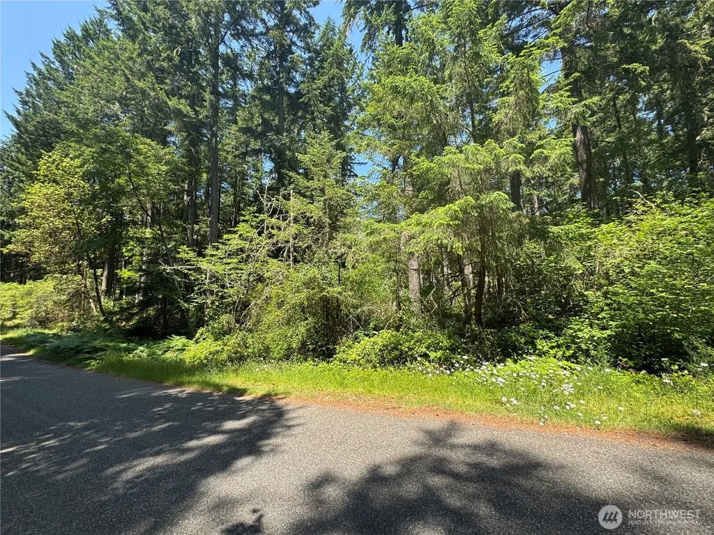 11409 & 11413 Hillcrest Drive, Anderson Island