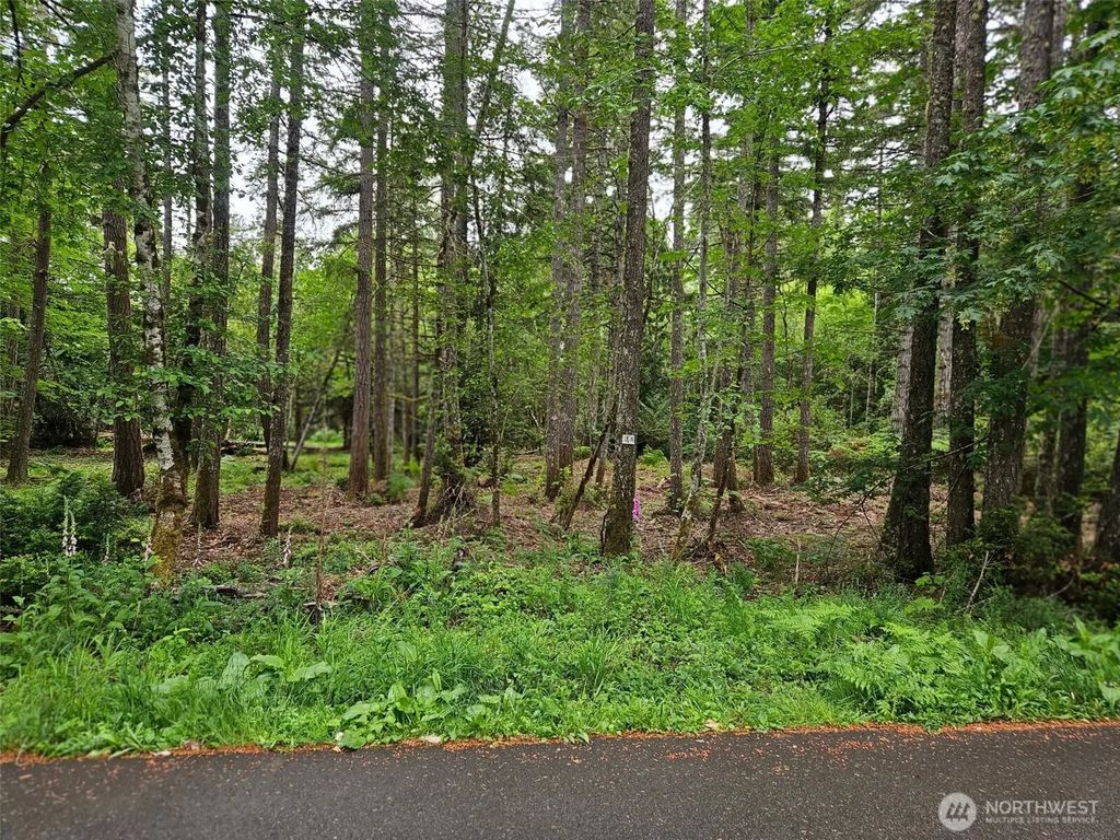 870 E Wilson Way, Grapeview