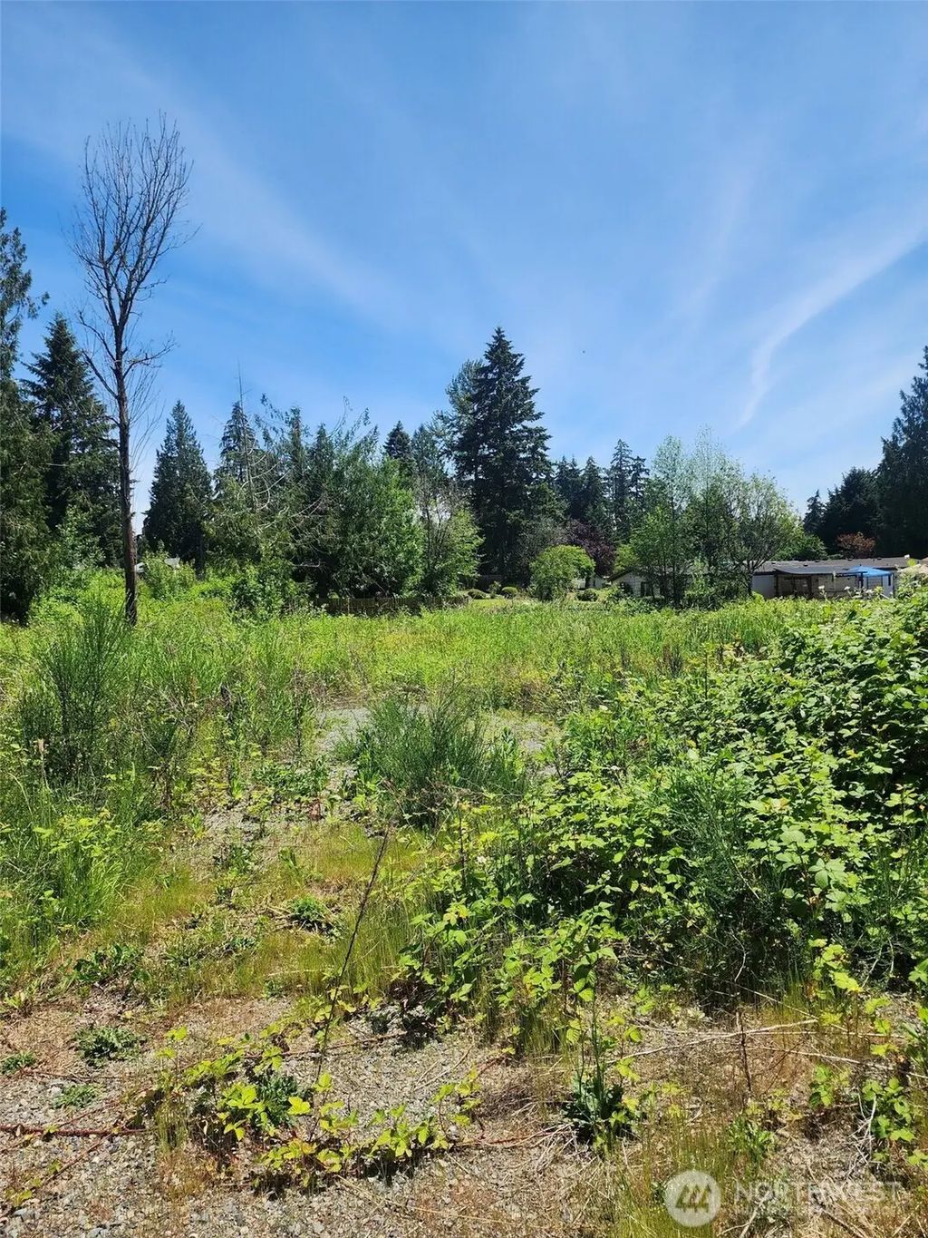 376 Xx 47th Avenue S, Auburn