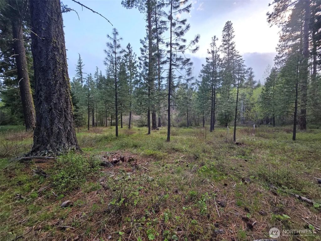 15 Lot Old Grove Trail, Cle Elum