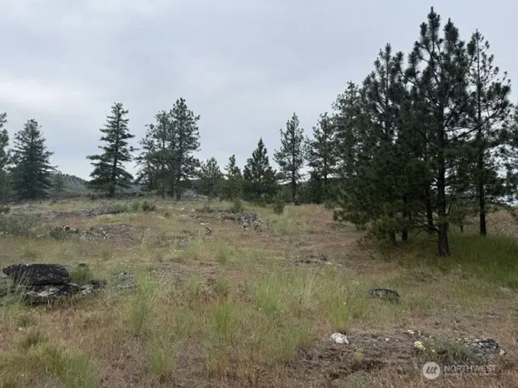 111 Tbd Patterson Creek, Tonasket