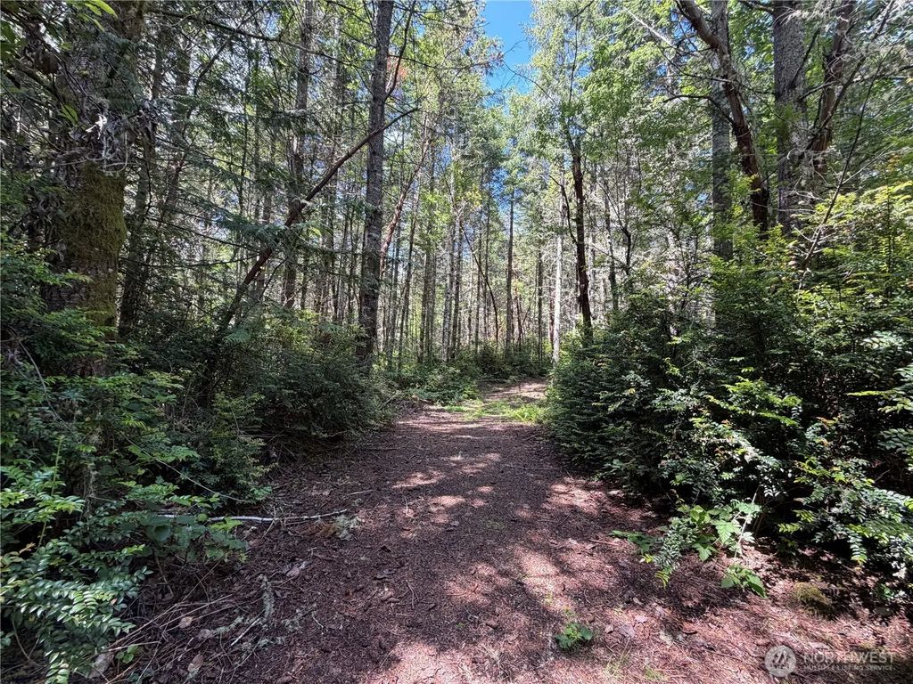 178 Geoduck Drive, Quilcene