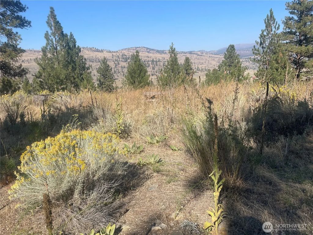 0 Tbd Reevas Basin Road, Tonasket