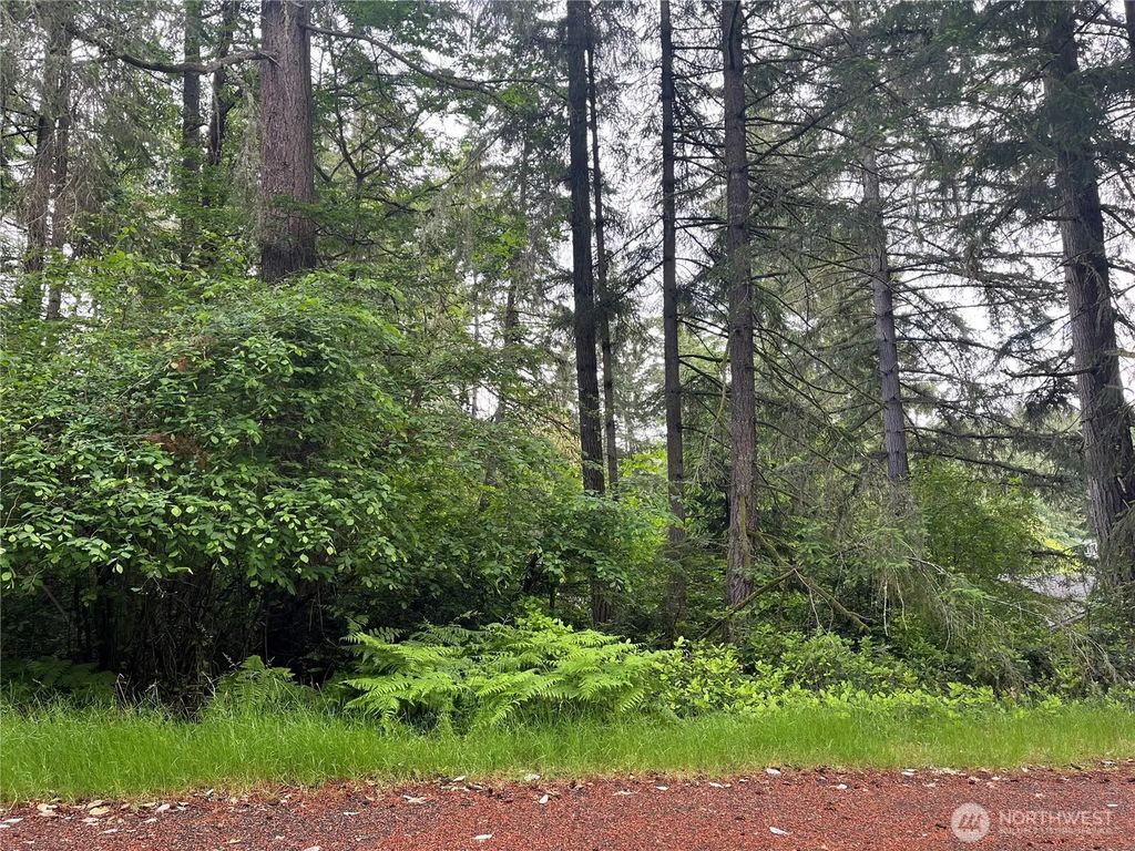 11111 Juniper Place, Anderson Island