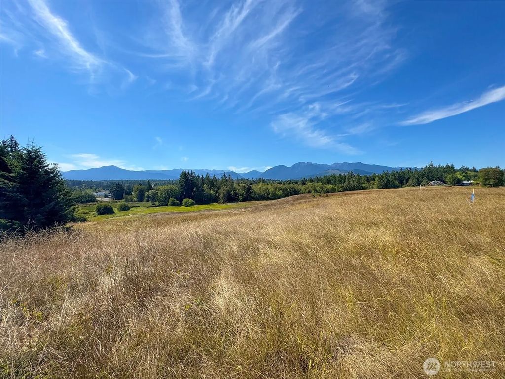 9999 Olympic Meadows, Parcel 11, Port Angeles