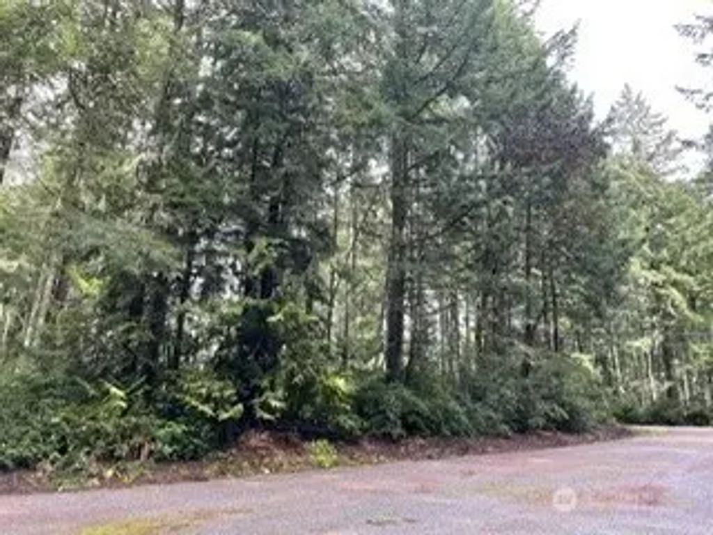 11307 114th Street Ct, Anderson Island