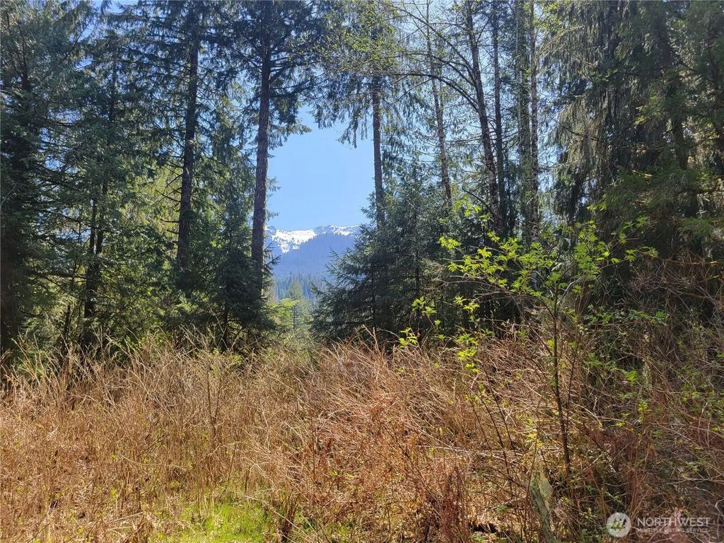 0 Xxx Mtn Loop Highway, Granite Falls