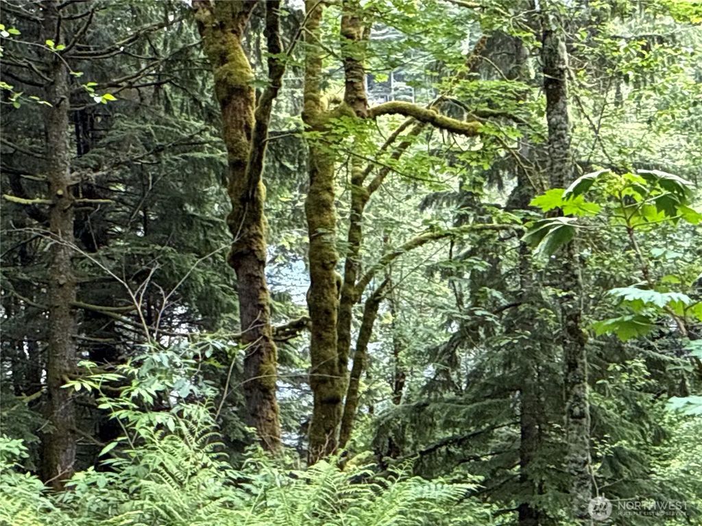 376 Xx E Lake Walker Drive Se, Enumclaw