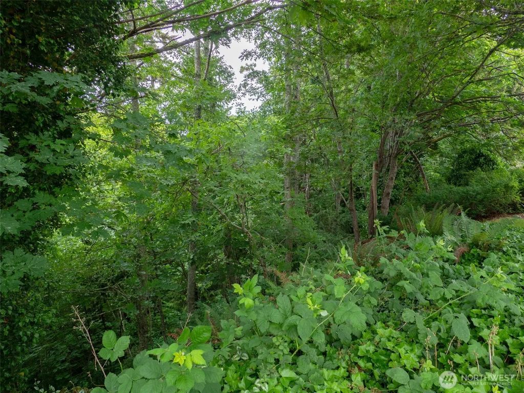 0 Lot 14 W Twelfth Street W, Port Angeles