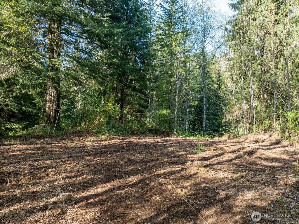 Davis Lake Road, Morton