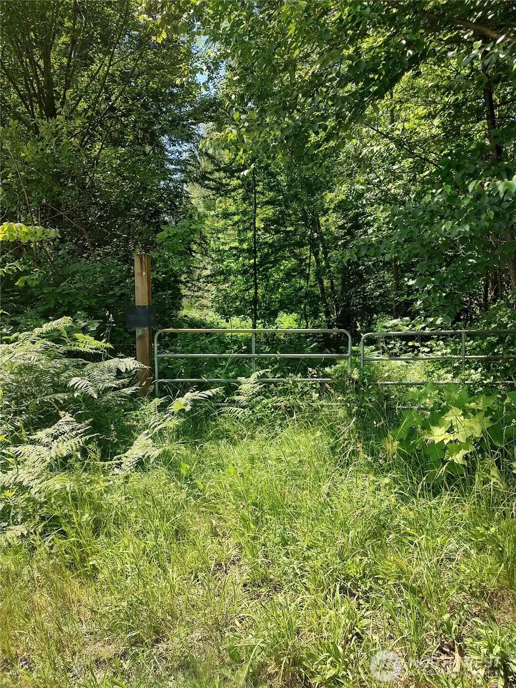Custer School Road, Custer