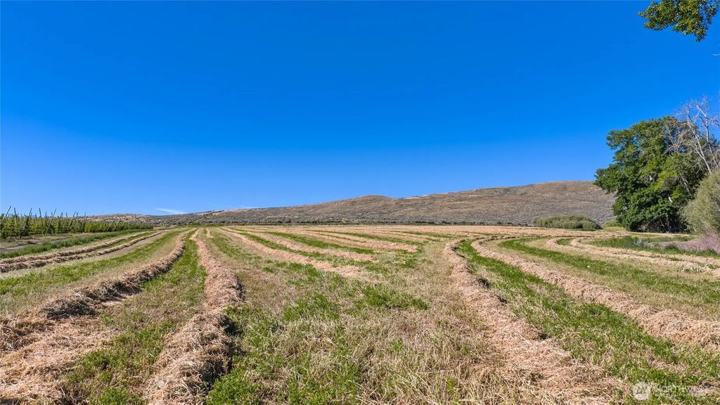 1 Borland, Ellensburg