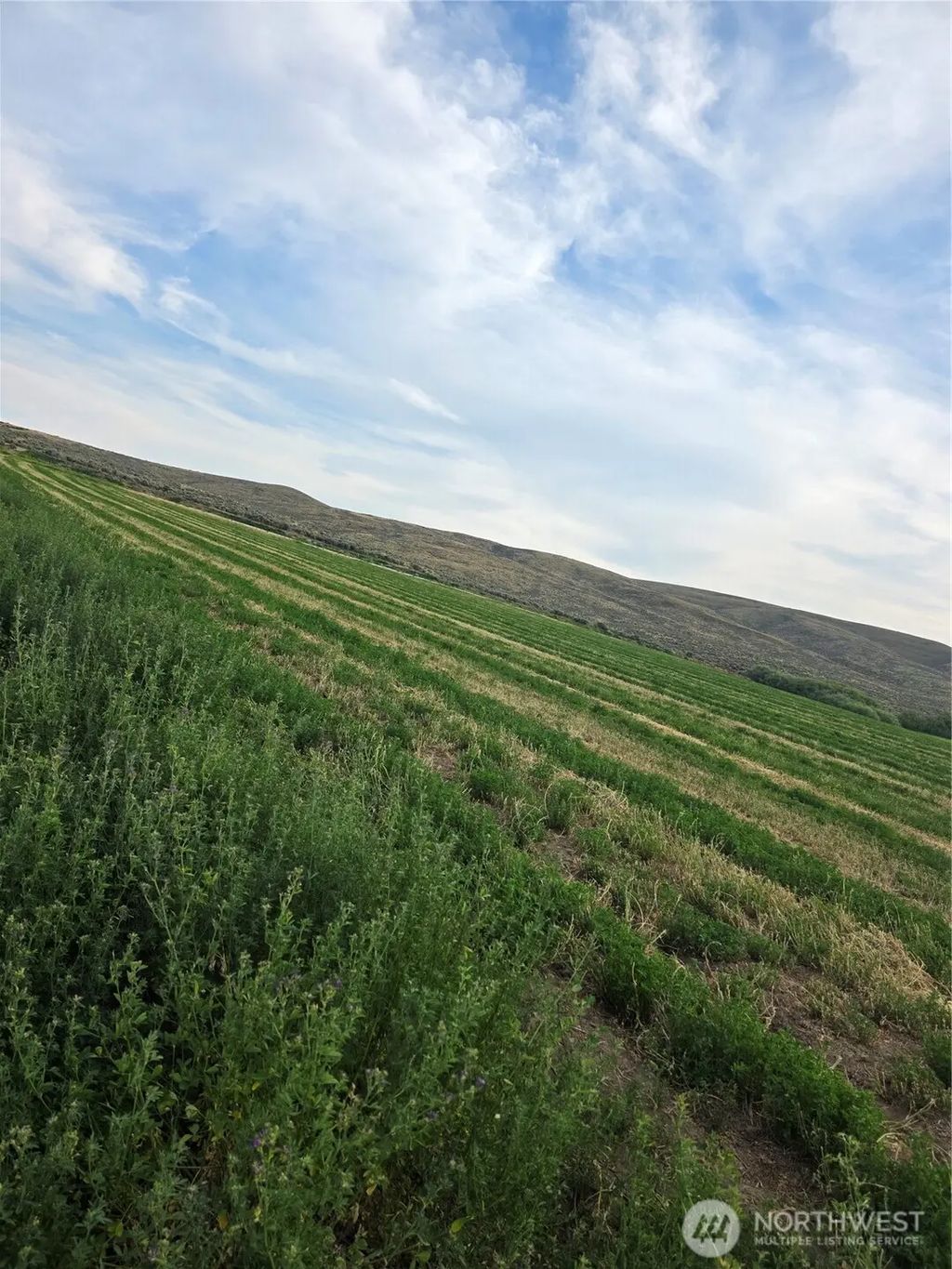2 Borland, Ellensburg
