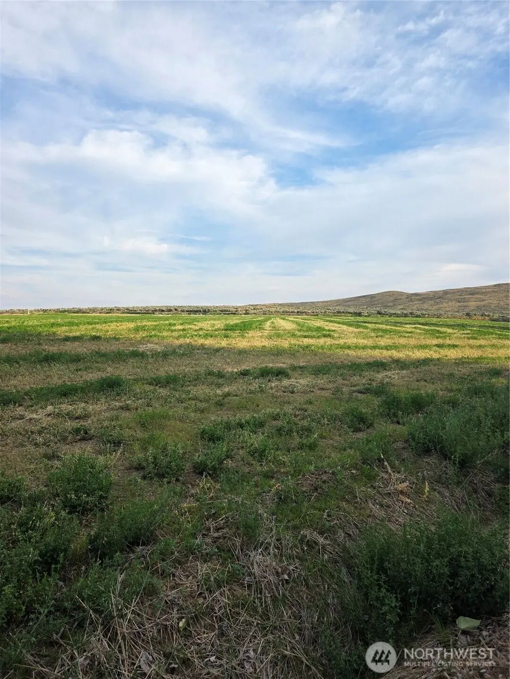 3 Borland, Ellensburg