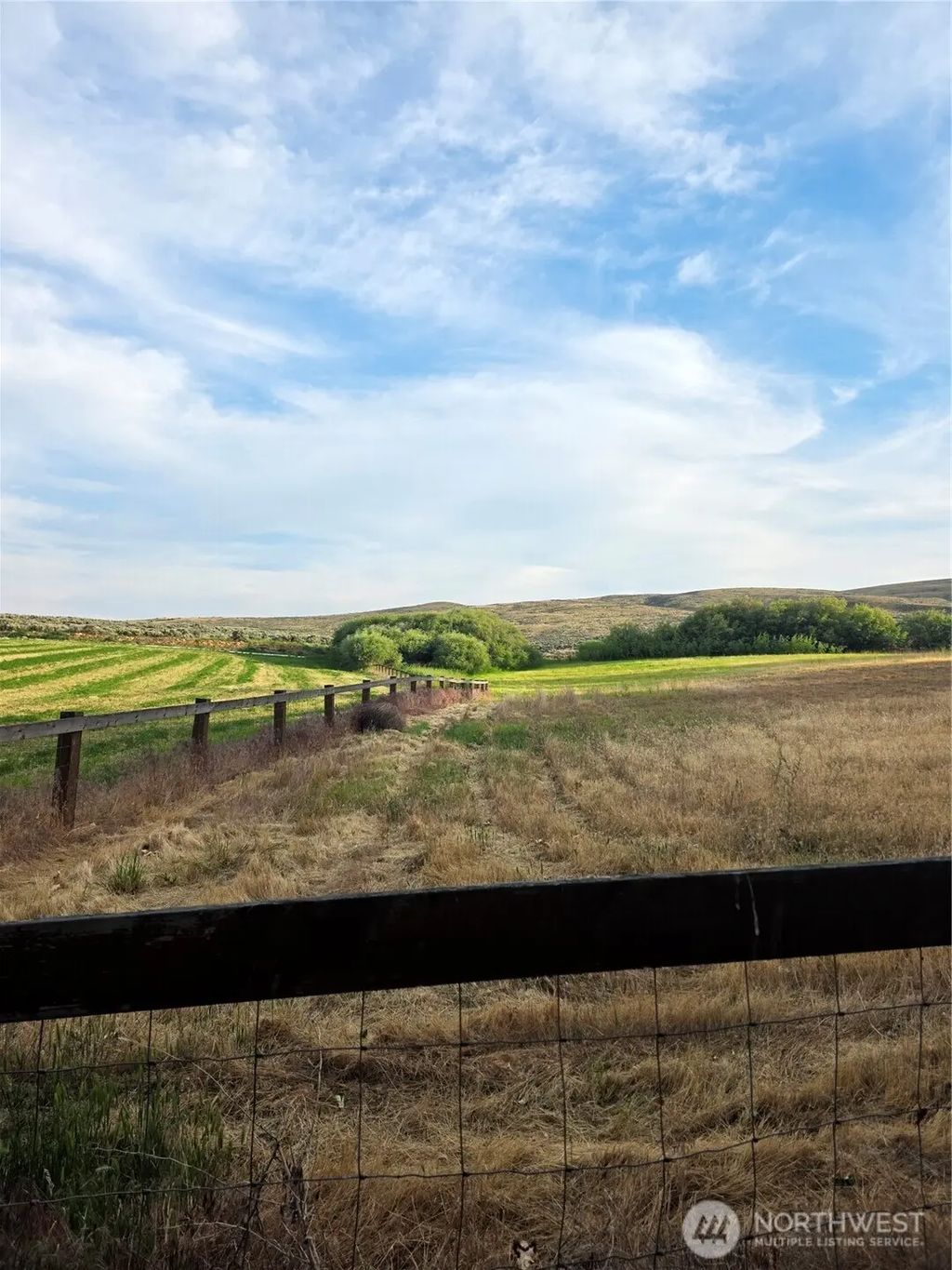 4 Borland, Ellensburg