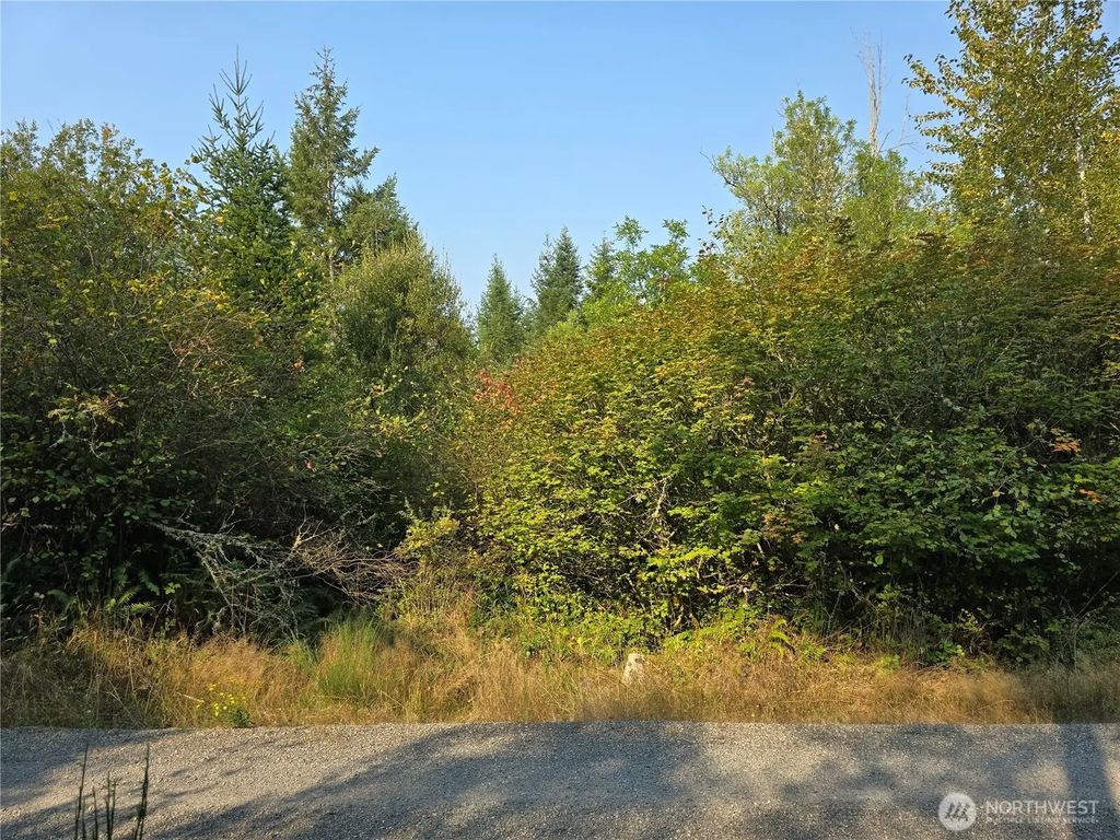 13849 Starflower Lane Se, Yelm