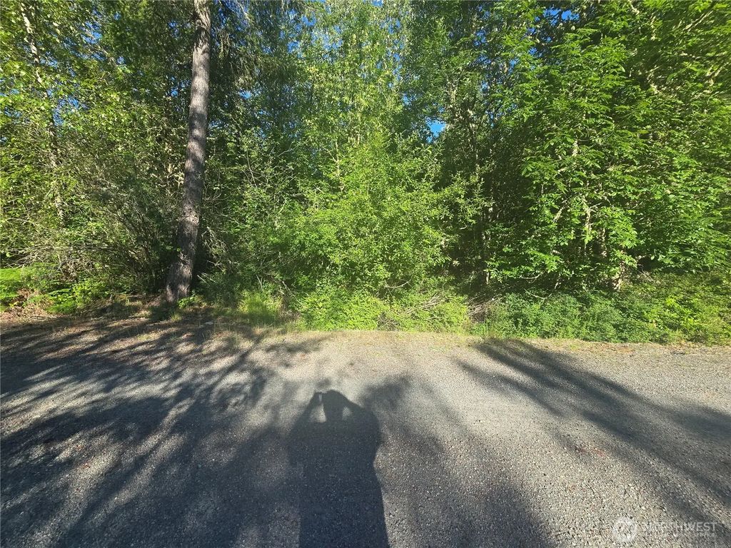 13823 Starflower Lane Se, Yelm