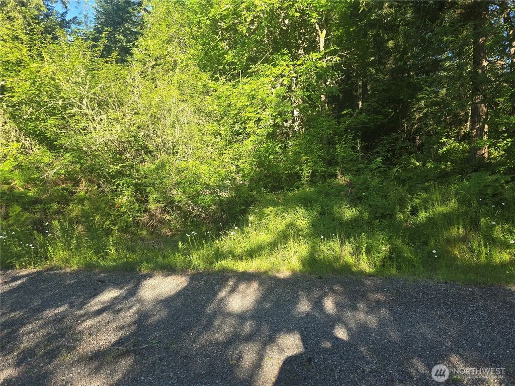 13811 Starflower Lane Se, Yelm