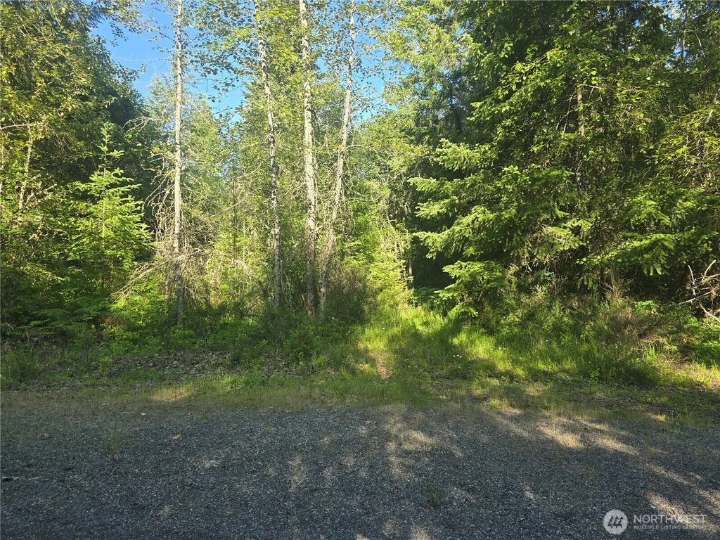 13721 Starflower Lane Se, Yelm