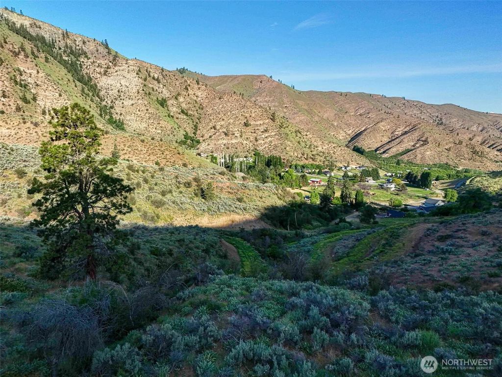 259 Juniper Lane, Monitor