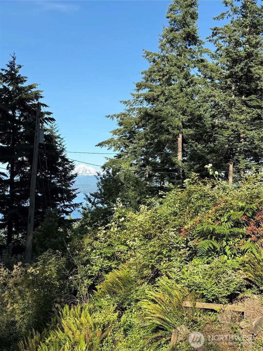 2959 Dogwood Terrace, Lummi Island