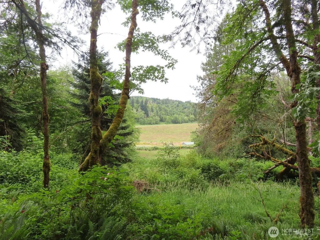 21720 Zenkner Valley Road Sw, Centralia