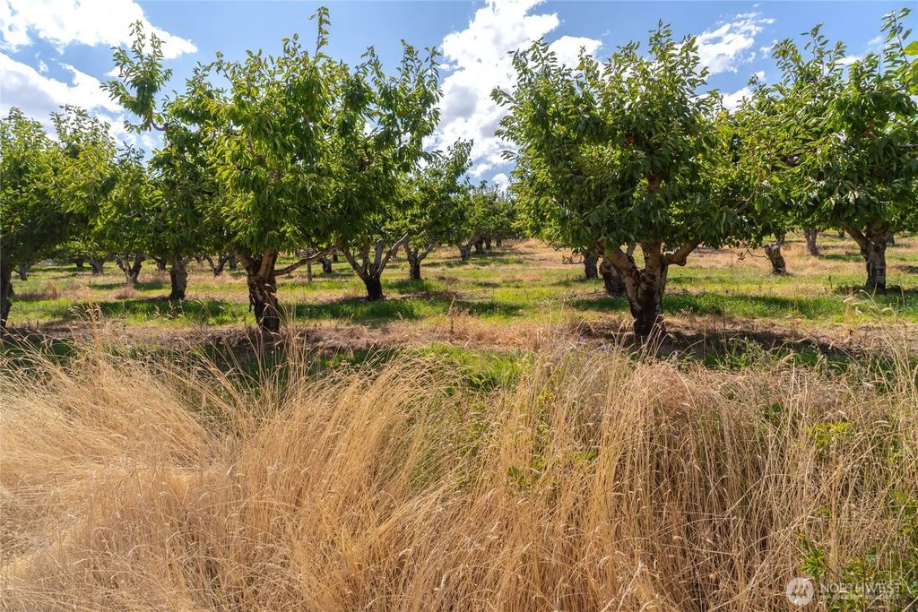 7199 Lot 3 Tarpiscan Road, Malaga