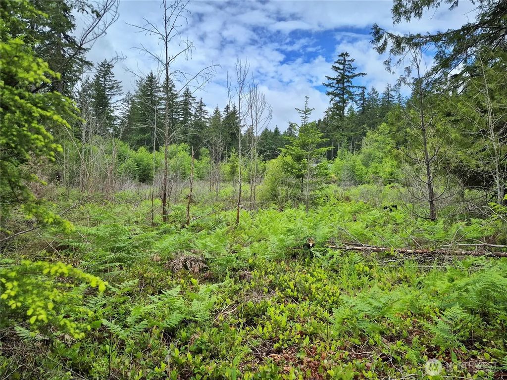 7 W Wilderness Lane, Seabeck