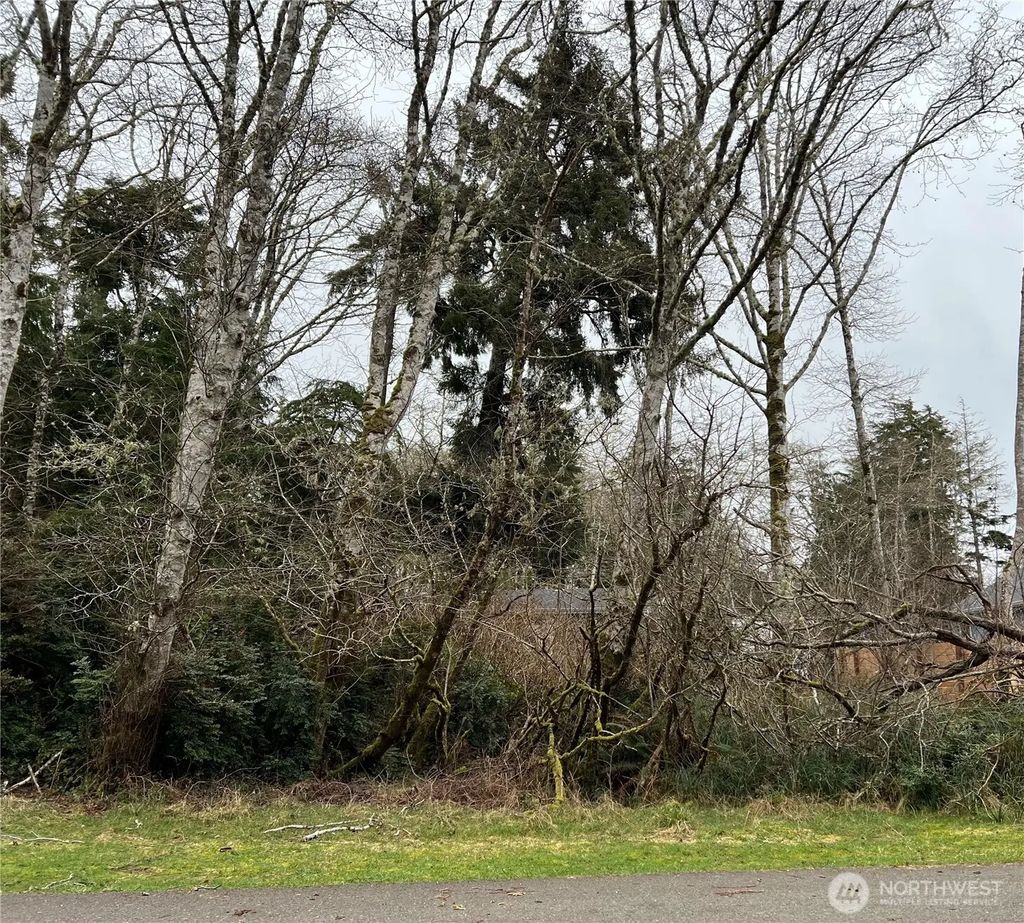 308 Lake View Loop Ne, Ocean Shores