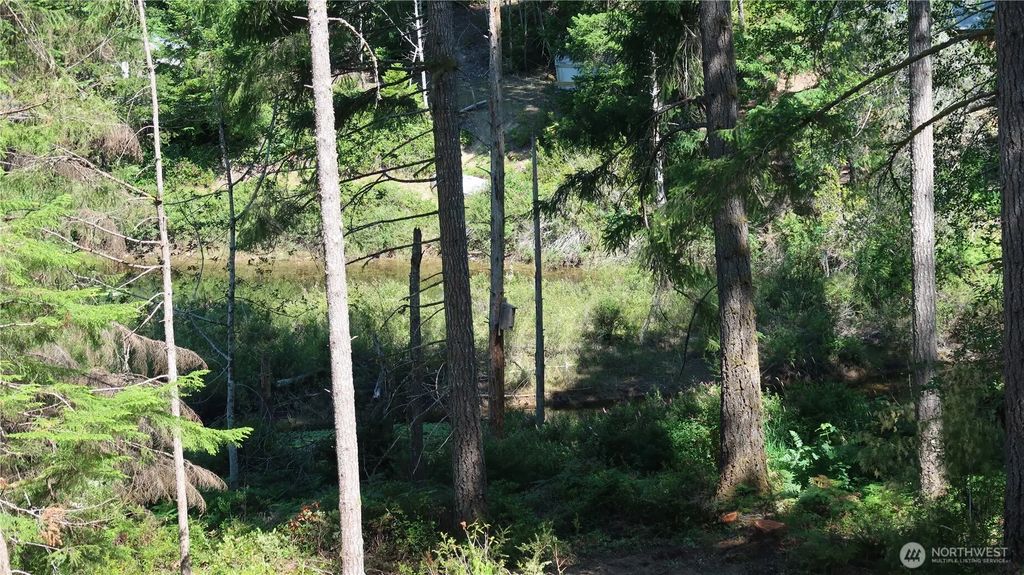 431 Ne Collins Lake Dr., Tahuya