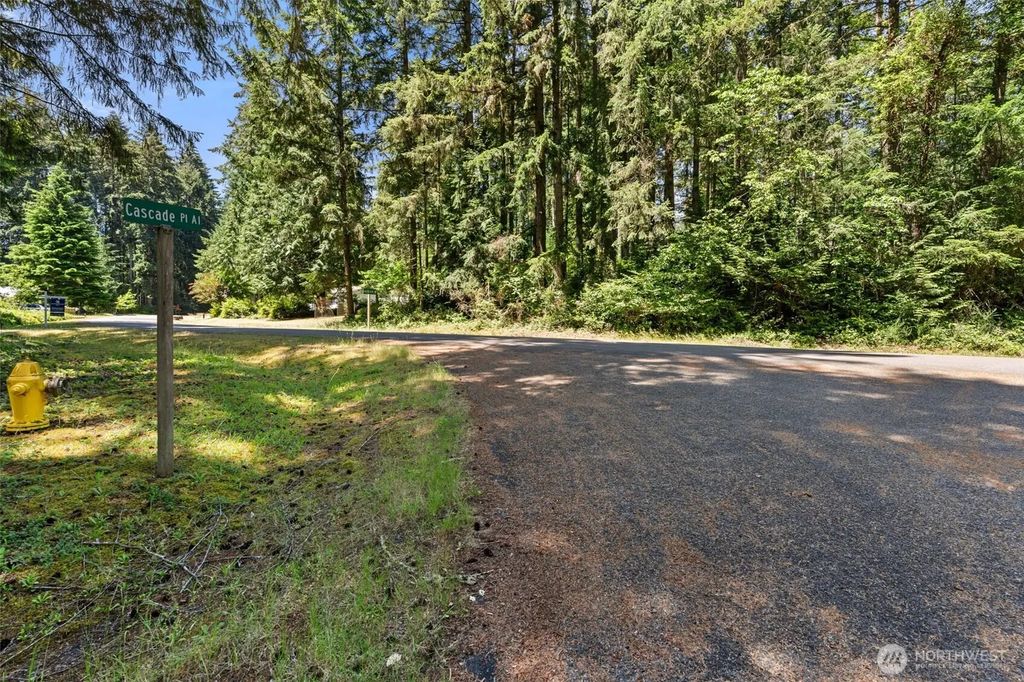 11103 Leschi Circle, Anderson Island